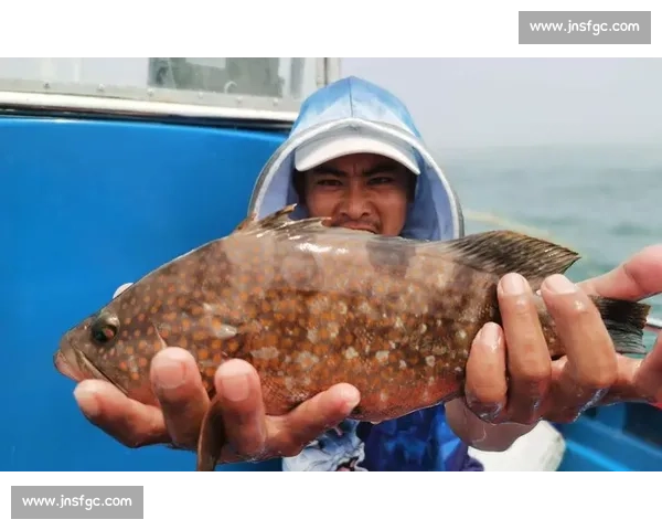 青岛灵山岛爆箱时刻！2 小时钓 40 斤鲈鱼，金秋海钓正当时